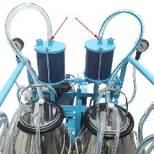 Double Barrel Piston Milking Machine for Cattle 170053 - Photo 2