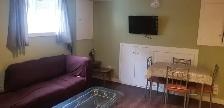 Furnished Basement for Rent - Photo 7
