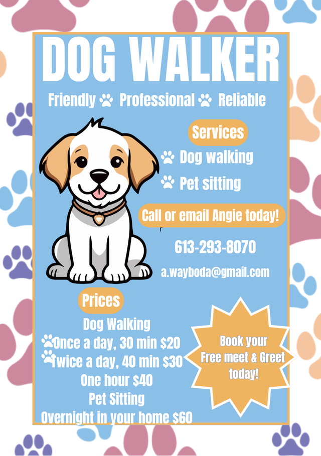 Professional Dog Walker and Pet Sitter