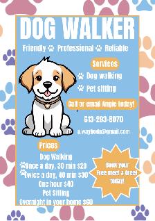 Professional Dog Walker and Pet Sitter