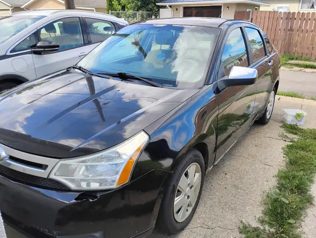 Ford Focus needs love