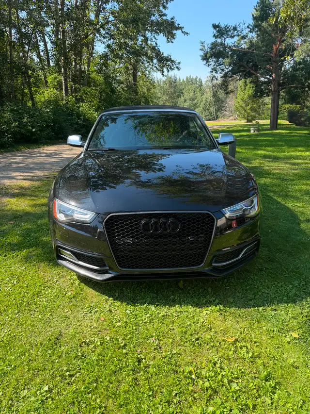 2017 AUDI S5 CABRIOLET
