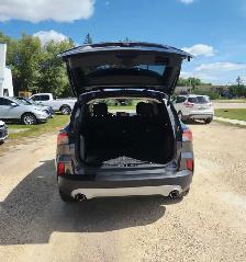 2020 Ford Escape SE All Wheel Drive - Photo 6