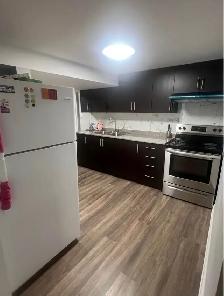 2 bed 1 bath Basement Apartment - Photo 4