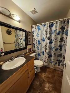 Room Rental