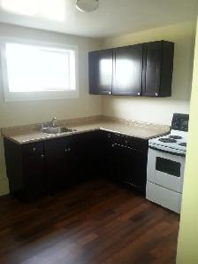 Large 2-Bed Apt for Rent in Oshawa by the Mall - Photo 3
