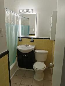 Big 4 1/2 (3 bedrooms) apartment for rent Cote des Neiges - Photo 15