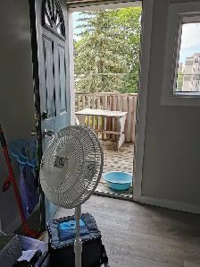 University Ottawa room for lease, 750 per month including all - Photo 3