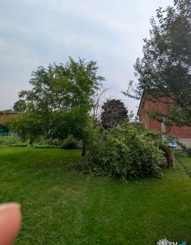 landscaping services
