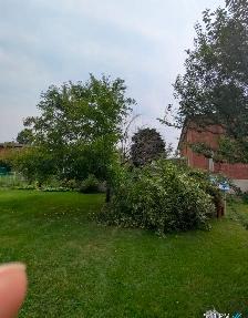 landscaping services