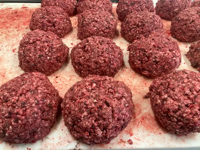 Raw Dog Food