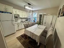Sep 1st,Beautiful Fully Furnished 1-Bedroom Apartment, High Park - Photo 7