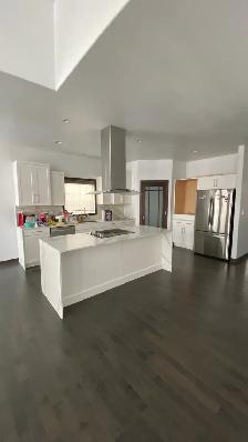 Skilled Renovation Carpenter / Finisher - Photo 2