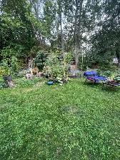 1 Bdrm & 1 Bath Garden Suite - Avail Sept 15 - Photo 6