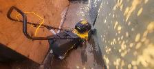 club cadet push mower - Photo 2