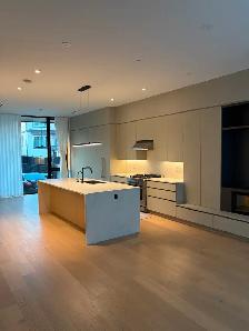 Brand New 3 Bedroom 3 Bathroom Duplex Home for Rent - Photo 3