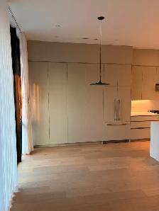 Brand New 3 Bedroom 3 Bathroom Duplex Home for Rent - Photo 6