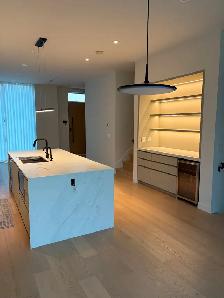 Brand New 3 Bedroom 3 Bathroom Duplex Home for Rent - Photo 7