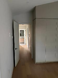 Brand New 3 Bedroom 3 Bathroom Duplex Home for Rent - Photo 8
