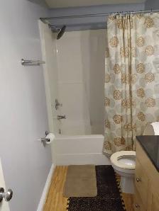 Basement suite for Rent Terwillegar - Photo 5