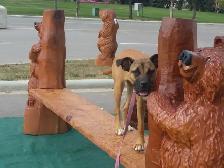 Dog Training & Trainers for Busy People - Photo 6
