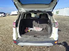 2014 Ford Escape - Photo 24