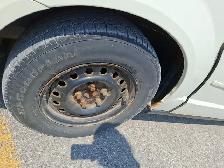 2011 Dodge Grand Caravan - Photo 21