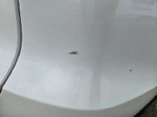2013 Acura RDX - Photo 22
