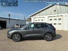 2024 Ford Escape PHEV - Hybrid - Navigation - Photo 2