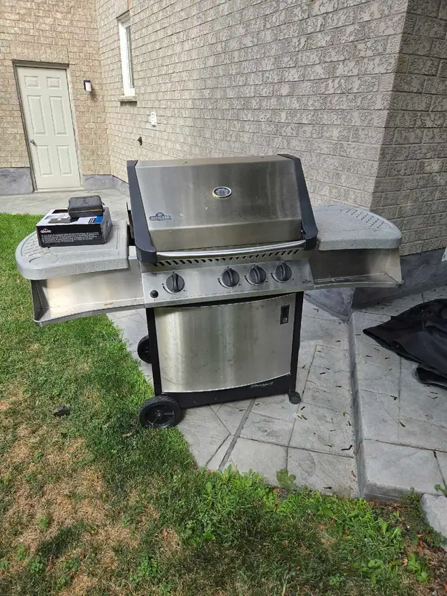BBQ Napoleon