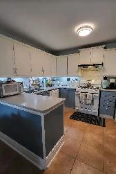 Available for cash work around downtown Hamilton! - Photo 3