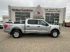 2023 Ford F150 Crew XLT 4x4 | FordPass Connect | Navigation | Al - Photo 11