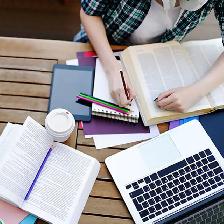 @Philosophy/sociology/Nursing/Biology/Business lessons@@