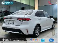 2021 Toyota Corolla LE - Mint Condition - Photo 5