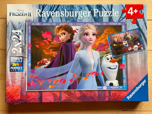 Casse-têtes / Puzzles (10 CT) – 24 à 36 pcs (K5)