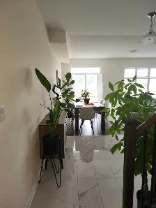 Room for rent - Markham - Photo 2