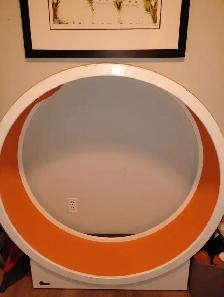 Cat wheel Cat it