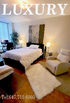 NORTH YORK EXCELLENT ROOM RENTAL @ 401 & DON MILLS RD. - Photo 12
