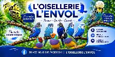 PLUSIEURS OISEAUX DISPONIBLES