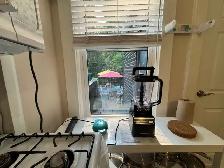 BRAND NEW Furnished 1-Bedroom Apartment,High Park / Keele- Bloor - Photo 7
