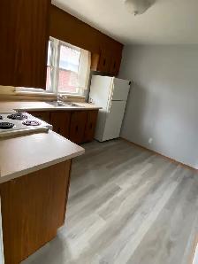 Renovated 3 BD detached house in Oshawa - Photo 4