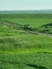 Farm Worker - Photo 17