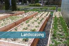 Lawn, Garden & Landscape Available - Photo 5