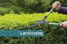 Lawn, Garden & Landscape Available - Photo 6