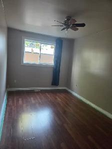 2 ROOM WALK IN /OUT BASEMENT  IN MALTON MISSISSAUGA. - Photo 2