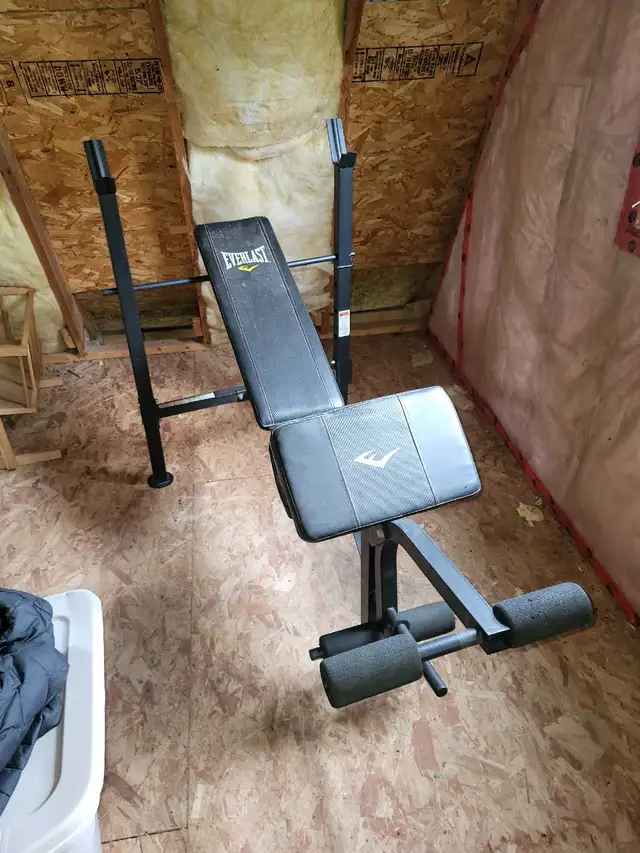 weight bench w/assorted weights