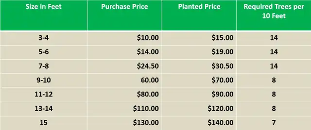 CEDAR TREES FOR SALE AND PLANTING 3-15 FOOT AVAILABLE