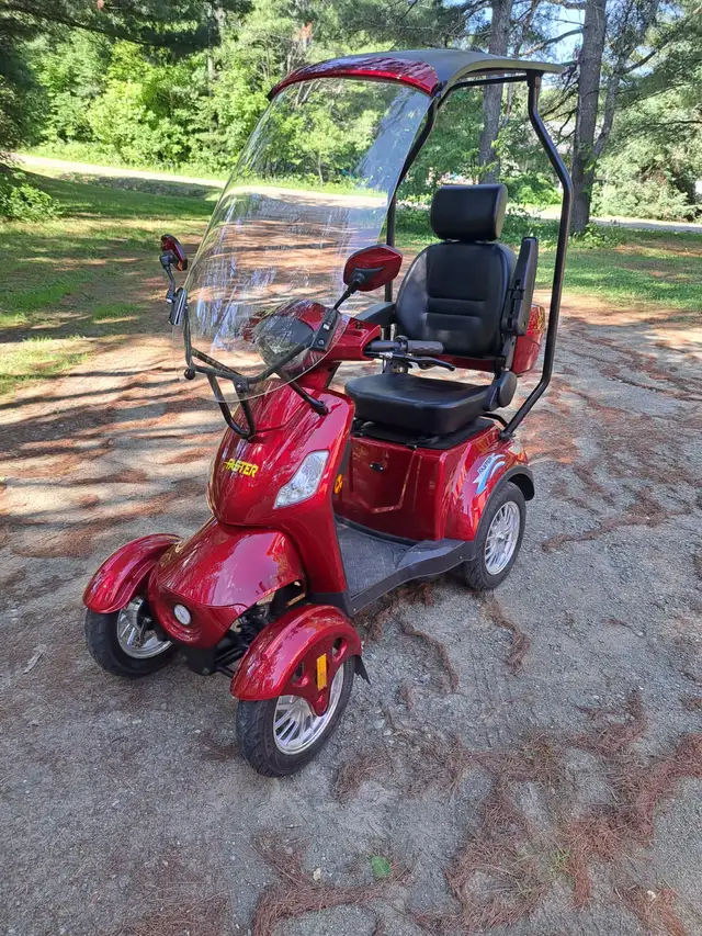 Quadriporteur électrique /Scooter de mobilité