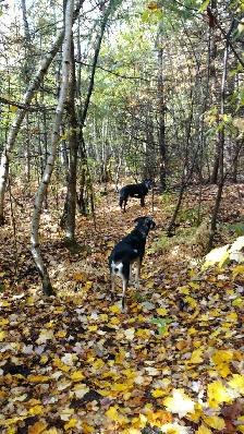 Oct 1 - Board available - Photo 4