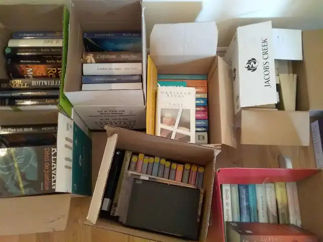 Laval ,pour marché aux puces,250 livres à vendre en lot